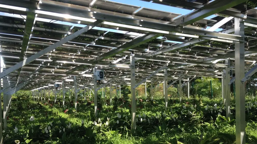 Caractéristiques : 1 centrale photovoltaque en serre agricole